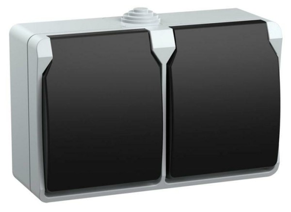 Розетка 2-м ОП Форс РСб22-3-ФСр 16А IP54 с/з с крышкой сер. IEK ERS22-K03-16-54-DC