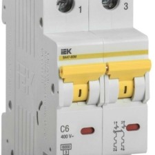 Выключатель автоматический модульный 2п C 6А 6кА ВА47-60M IEK MVA31-2-006-C