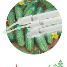 Светильник модульный для растений FITO-3х10W-LINE-Ra90 30Вт полного спектра ЭРА Б0049315