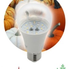 Лампа СДЛ фито FITO-11W-Ra90-E27 11Вт E27 полноспектральная Эра Б0050603