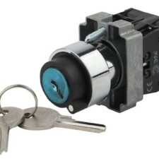 Переключатель LAY5-BG45 2 полож. с ключом без фиксации BSW80-BG-2-K02E ЭРА Б0045688