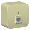 Розетка компьютерная 1-м ОП Blanca RJ45 кат.5E с изолир. пластиной беж. SE BLNIA045007