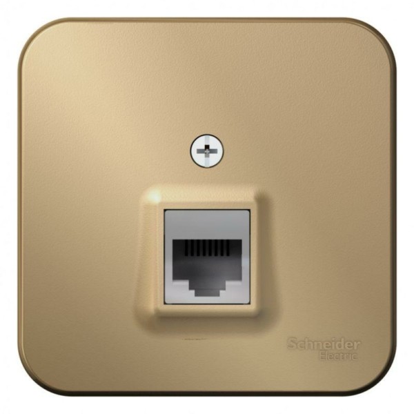 Розетка ПК 1-м ОП Blanca RJ45 кат.5E с изолир. пластиной титан SE BLNIA045004