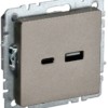 Розетка BRITE USB A+C 18Вт РЮ11-1-БрШ шампань IEK BR-U22-018-K37