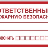 Наклейка “Ответственный за пожарную безопасность” B03 (100х200мм,) EKF PROxima