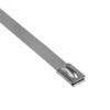 Хомут AISI 304 из нержавеющей стали, 7,9x290 (10 шт,) FlexLock PROxima