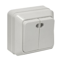 Выключатель 2кл. ОП с инд. 10А белый Рим EKF