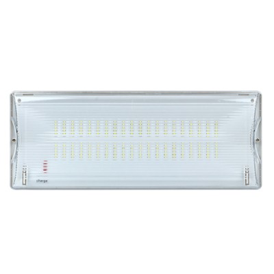 Светильник аварийного освещения SAFEWAY-40P пост, действия LED EKF Proxima — изображение 2