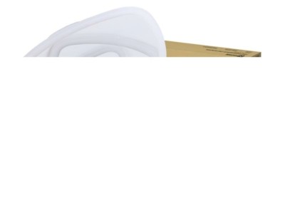 Светильник светодиодный GEO AMBER 120Вт 230В 3000-6500К 8400лм 500х50мм с пультом ДУ In Home 4690612035789