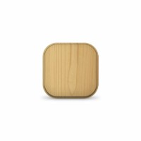 Выключатель 1кл. 1п ОП 10А IP20 сосна IONICH 1434