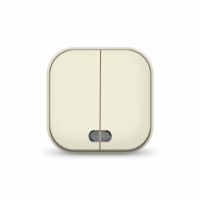 Выключатель 2кл. 1п ОП 10А IP20 с инд. сл.кость IONICH 1426