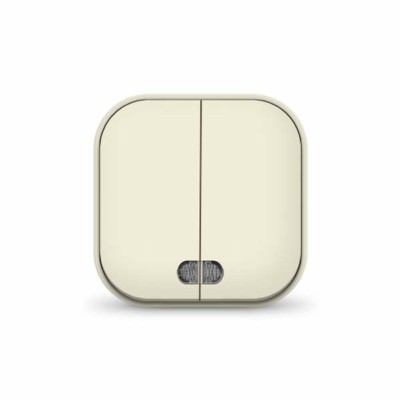 Выключатель 2кл. 1п ОП 10А IP20 с инд. сл.кость IONICH 1426