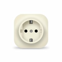 Розетка 1-м ОП 16А IP20 с/з сл. кость IONICH 1433