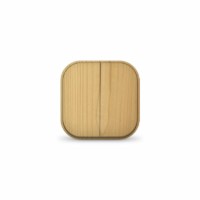 Выключатель 2кл. 1п ОП 10А IP20 сосна IONICH 1436