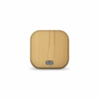 Выключатель 1кл. 1п ОП 10А IP20 с инд. сосна IONICH 1435