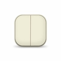 Выключатель 2кл. 1п ОП 10А IP20 сл.кость IONICH 1425