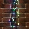 Гирлянда светодиодная “Мультишарики” 20м d13мм 200LED RGB 58Вт 220В IP44 провод ПВХ черн. Neon-Night 303-509-1