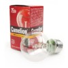 Лампа ЛН Camelion 75/A/CL/E27