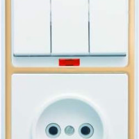 Блок БКВР-212 Бэлла (3-кл. выкл. с инд. + розетка) зол. Кунцево 5842