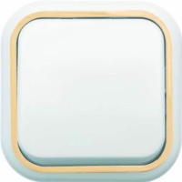 Выключатель 1кл. ОП Валентина 10А IP20 А16-038 бел./зол. Кунцево 7631