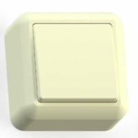 Выключатель 1кл. ОП Оптима 10А IP20 А110-377 с монт.пл. сл.кость Кунцево 8030