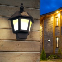 Светильник фасадный ERAFS08-36 Фонарь 2 режима (огонь/холодный свет) 40LED 7лм солнечная батарея ЭРА Б0044250