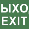Самоклеящаяся этикетка ЭРА INFO-DBA-015 200х60мм “Выход-EXIT” DPA/DBA