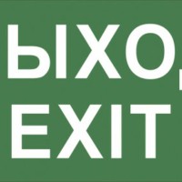 Самоклеящаяся этикетка ЭРА INFO-DBA-015 200х60мм “Выход-EXIT” DPA/DBA