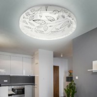 Светильник потолочный светодиодный ЭРА Классик без ДУ SPB-6-12-6,5K Syuzi 12Вт 6500K