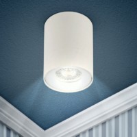 OL1 GU10 WH Подсветка ЭРА накладной, GU10, D80*100мм, белый