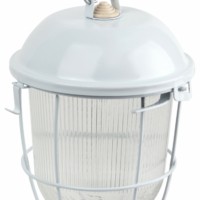 Светильник ЭРА НСП 02-100-003 с решеткой Желудь сталь стекло IP54 E27 макс 100Вт 170х300 белый