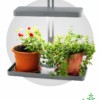 Настольный светильник для растений ЭРА FITO-20W-QLED-G полного спектра 20 Вт серый