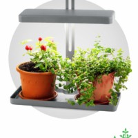 Настольный светильник для растений ЭРА FITO-20W-QLED-G полного спектра 20 Вт серый