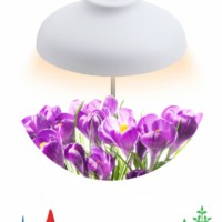 Светильник для растений ЭРА FITO-12W-FLED штыковой полного спектра 12 Вт