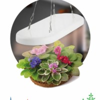 Светильник для растений ЭРА FITO-25W-QLED-FLY подвесной полного спектра 25 Вт