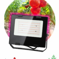 Прожектор светодиодный фито ЭРА FITO-50W-RB-LED для цветения и плодоношения красно-синего спектра 50 Вт