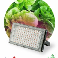 Прожектор светодиодный фито ЭРА FITO-80W-RB-LED-Y красно-синего спектра