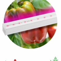 Светильник светодиодный фито линейный ЭРА FITO-16W-Т5-N красно-синего спектра 16 Вт Т5