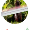 Светильник светодиодный фито линейный ЭРА LLED-05-T5-FITO-18W-W полного спектра 18 Вт