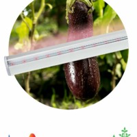 Светильник светодиодный фито линейный ЭРА LLED-05-T5-FITO-18W-W полного спектра 18 Вт