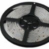 Лента светодиодная LS2835-4,8-60-24-65-3000К-5m