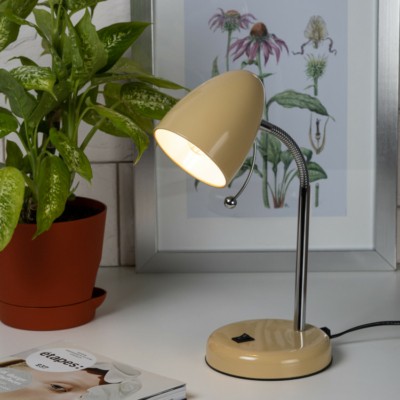 ЭРА наст.светильник N-116-Е27-40W-BG бежевый