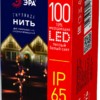 Светодиодная новогодняя гирлянда ЭРА ERAPS-NP10 нить 10 м тёплый свет 100 LED