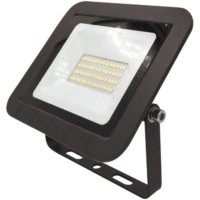 Прожектор светодиодный уличный ЭРА LPR-061-0-65K-030 30Вт 6500К 2800Лм IP65