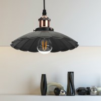 PL3 BK/RC Подвес ЭРА металл, E27, max 60W, d245 мм, шагрень черный/медь