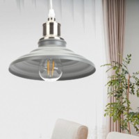 PL4 GR/SN Подвес ЭРА металл, E27, max 60W, d203 мм, шагрень серый/сатин никель