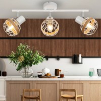 Светильник настенно-потолочный спот Rivoli Anselma 7034-703 3 x E14 40 Вт поворотный