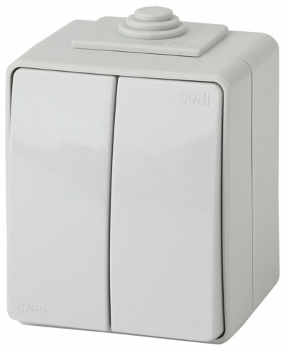 Выключатель 2кл. IP65 10АХ-250В ОП Эксперт серый Эра 11-1604-03