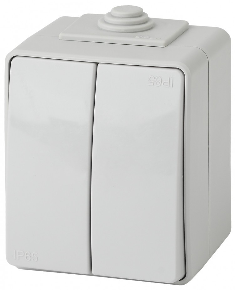 Выключатель 2кл. IP65 10АХ-250В ОП Эксперт серый Эра 11-1604-03