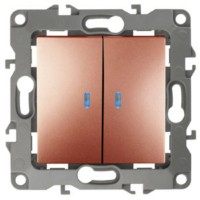 Выключатель 2кл. с инд. 10АХ-250В IP20 механизм 12 медь Эра 12-1105-14